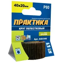Круг лепестковый веерный с оправкой 40х20мм, P 80, хвостовик 6 мм, серия Профи, ПРАКТИКА