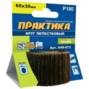 Круг лепестковый веерный с оправкой 60х30мм, P180, хвостовик 6 мм, серия Профи, ПРАКТИКА
