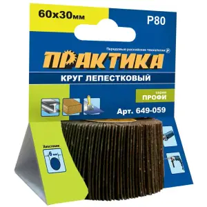 Круг лепестковый веерный с оправкой 60х30мм, P 80, хвостовик 6 мм, серия Профи, ПРАКТИКА